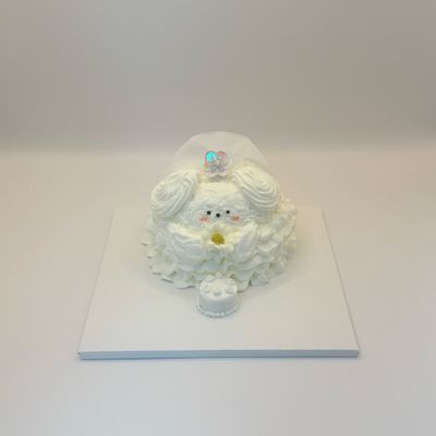 동물케이크 이미지