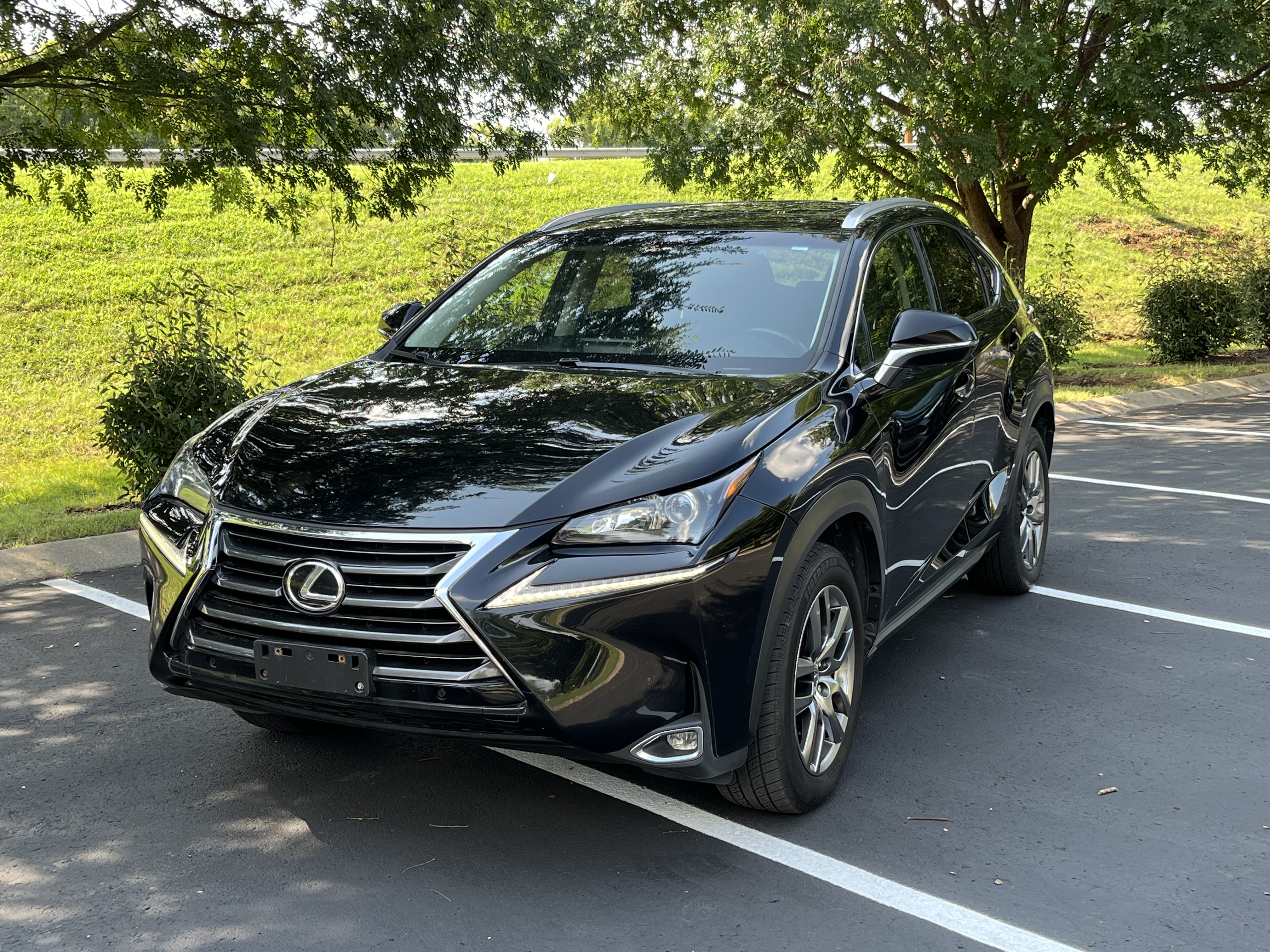 Dealer-provided photo of Lexus NX