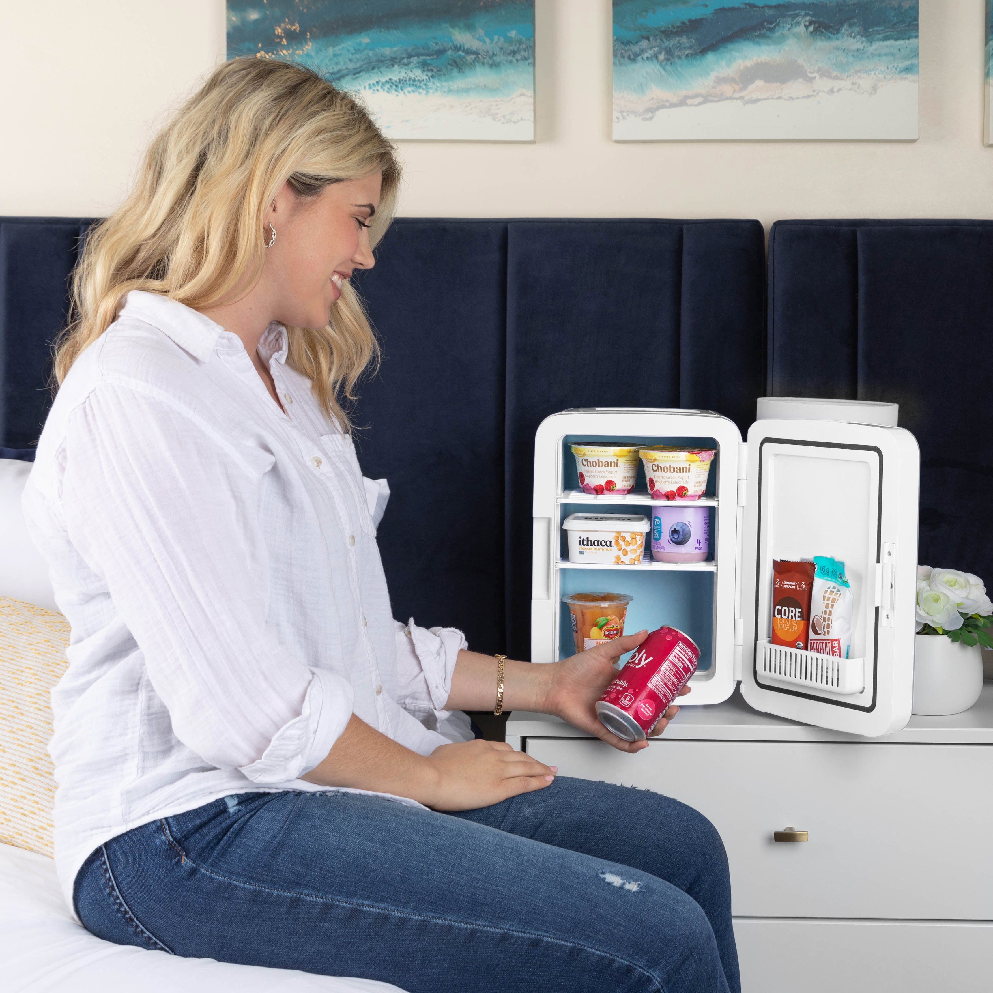 Cooluli Infinity 10L Thermoelectric Cooler and Warmer Mini Fridge detail photo 14