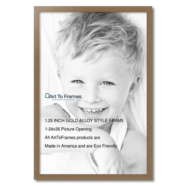 03309 ETE-MDF-DJ-2436 Gold Picture Frame 24x36 Inc, stock photo — view 1