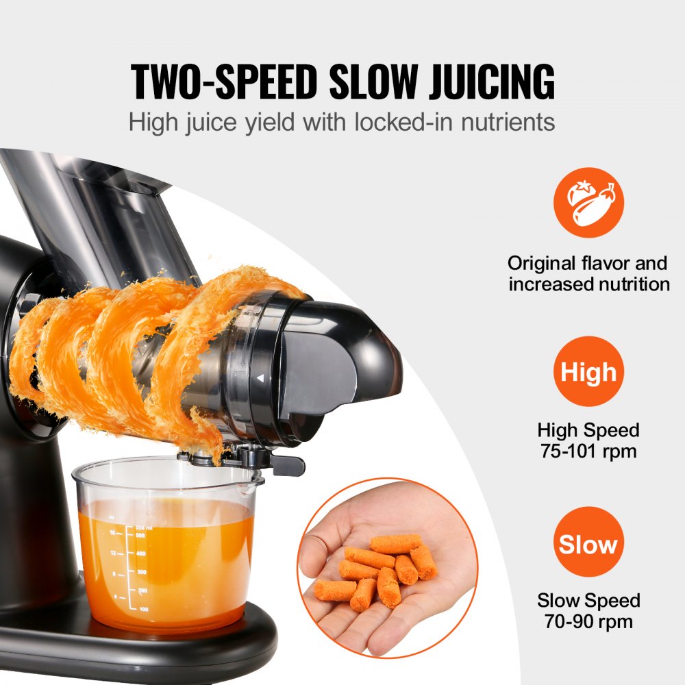 02901 Slow Masticating Juicer Extractor With Rever detail photo 3