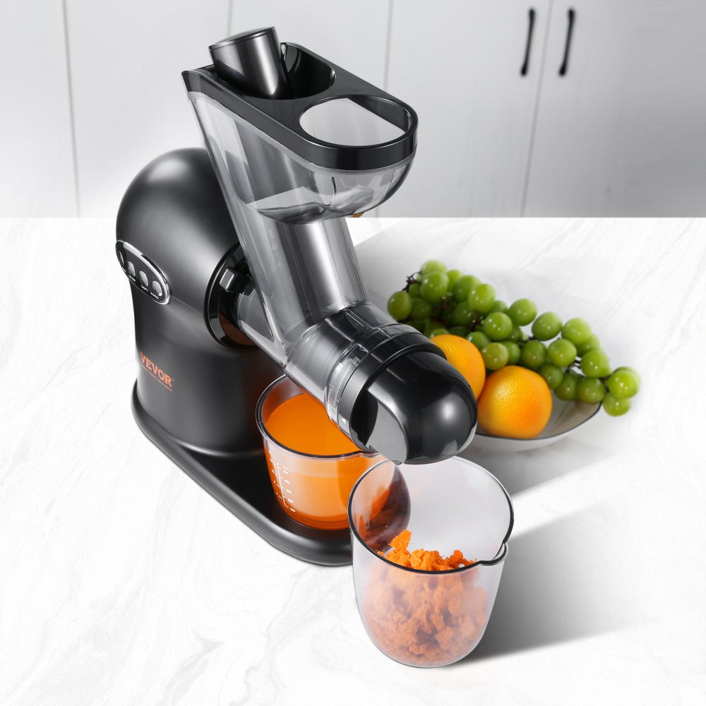 02901 Slow Masticating Juicer Extractor With Rever detail photo 8