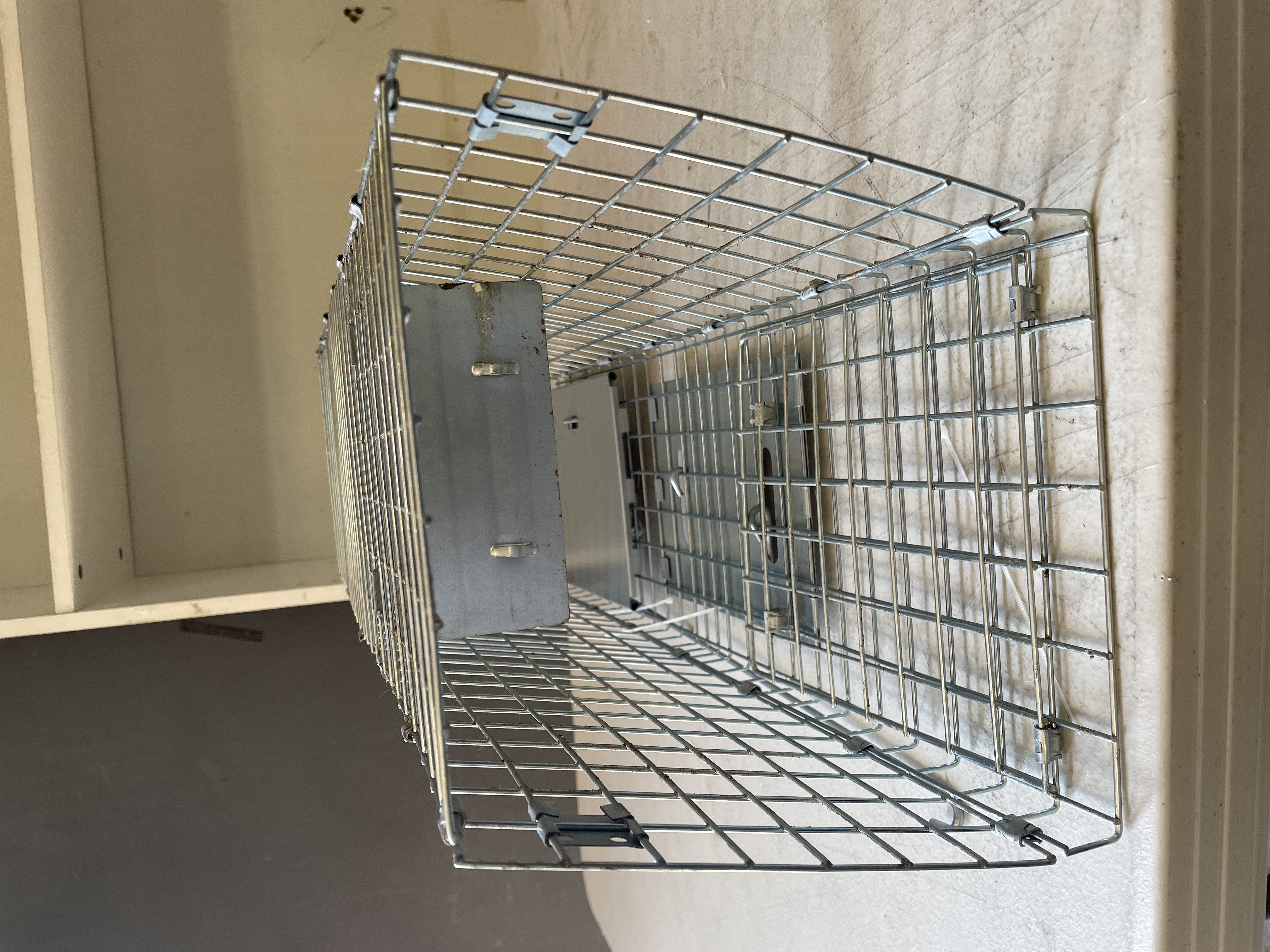 VEVOR Humane Live Animal Trap 24x8x8 Inch Galvanized Folding Wire Design detail photo 7