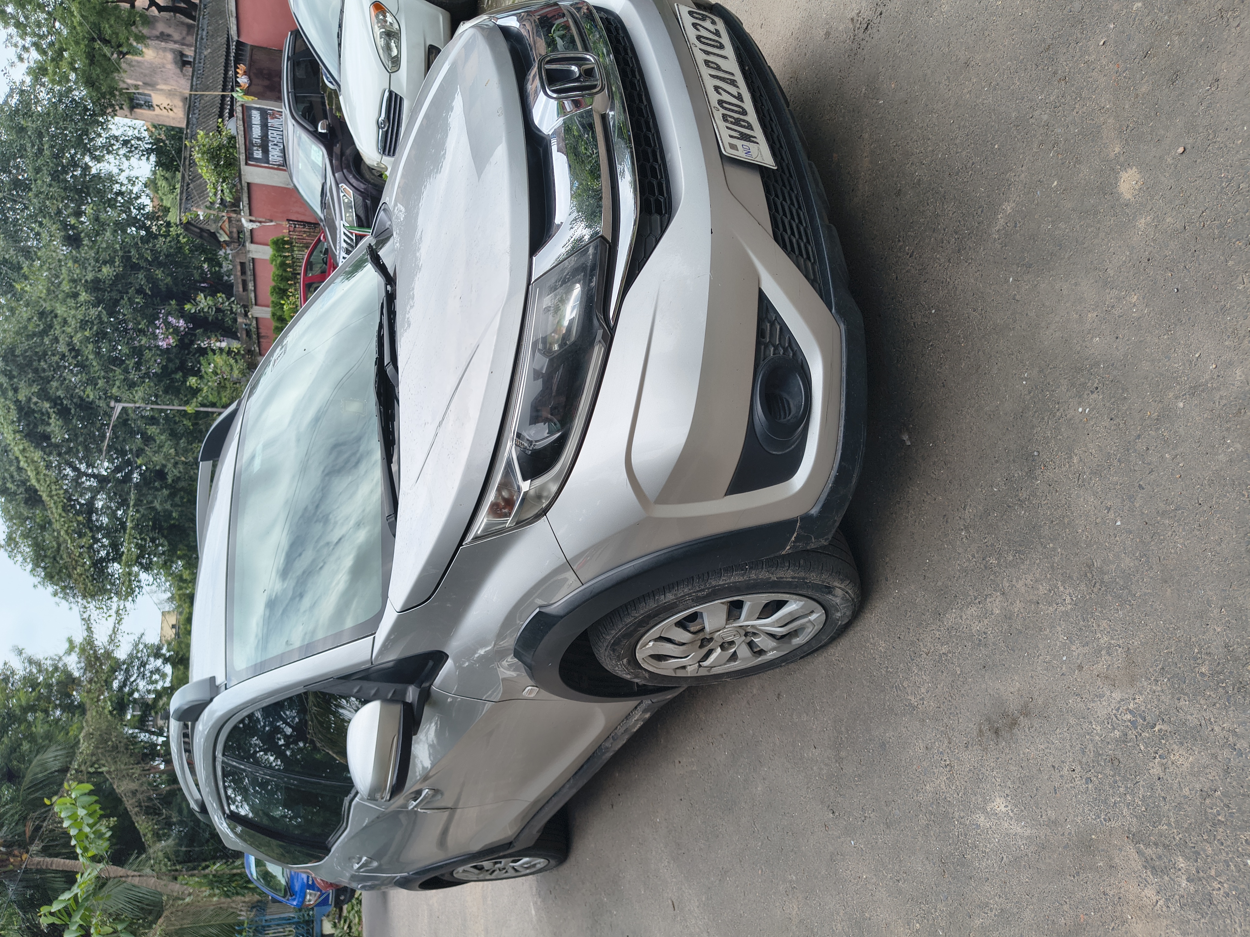 BRV 7 SETTER — image 1