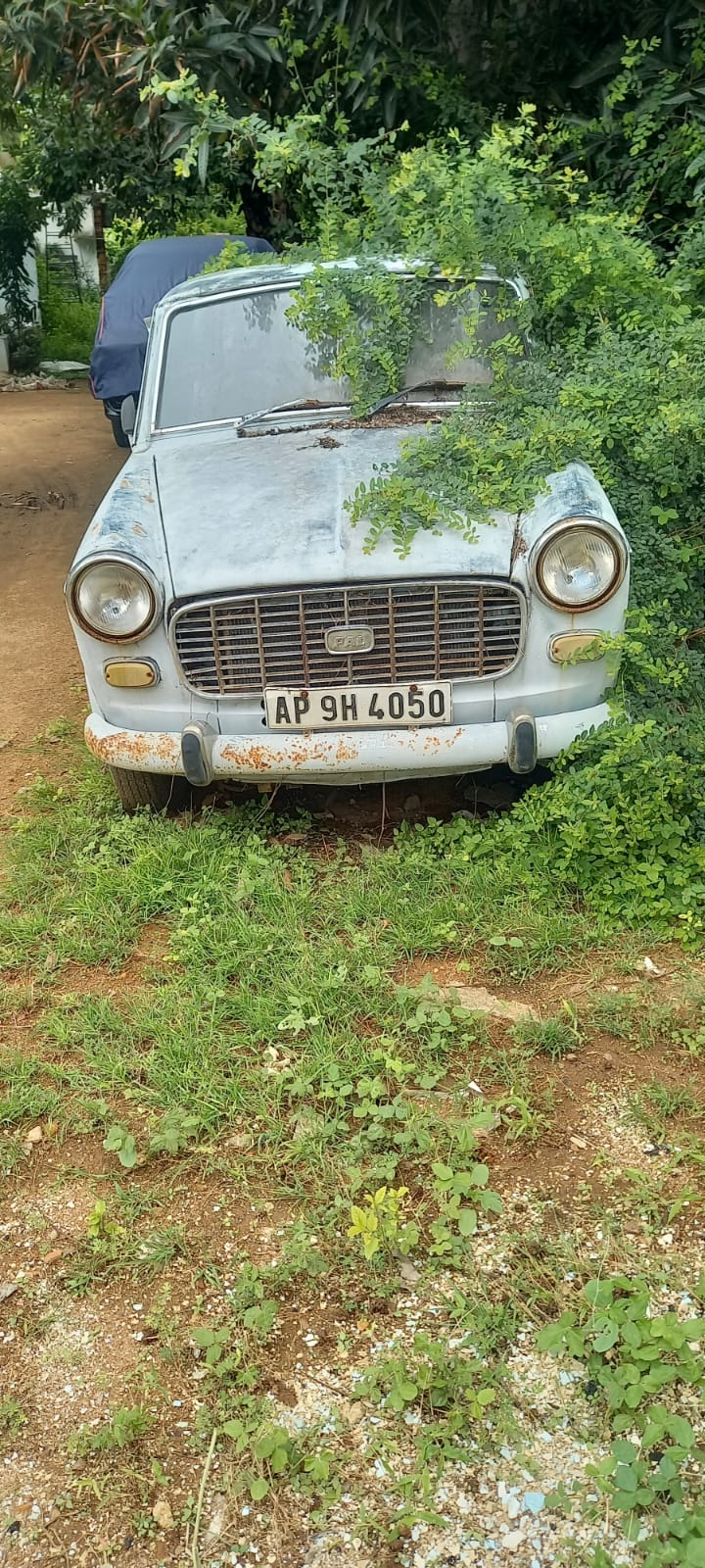PREMIER PADMIN 137D PREMIER PADMIN 137D — photo 1