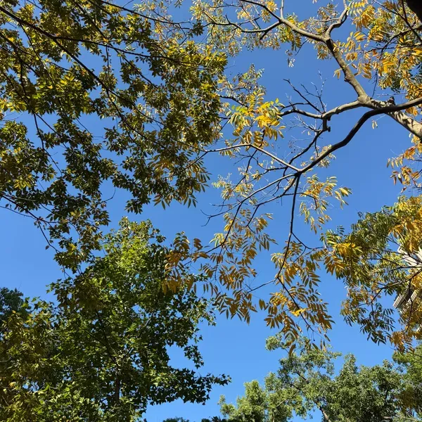 2025-11-24 - 近期開始持續觀察自己的情緒波動，慢慢的拆解那些正向的波動與負向的波動，以及學習如何面對這些情緒起伏。