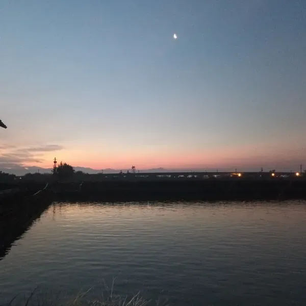 Lantwace - 從都市回到鄉下，看著魚塭與背景般的山影，一些舒服而美好的靜謐，和諧的發生著，回到城市的我，莫名的想念了。

突然想到3／30聽喜歡的作家- 張西 的講座，她說：「如果沒有看清楚自己的樣