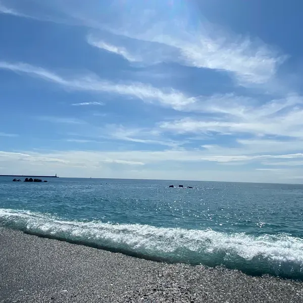 2023-08-30 - 相隔短短兩個月，您也走了

沒和您好好道別，我好想你