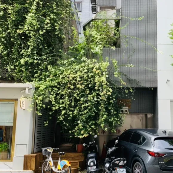 2023-09-06 - 感謝種植這片美景的住戶，讓城市的角落充滿了生機。🌲🌲

#感恩日記