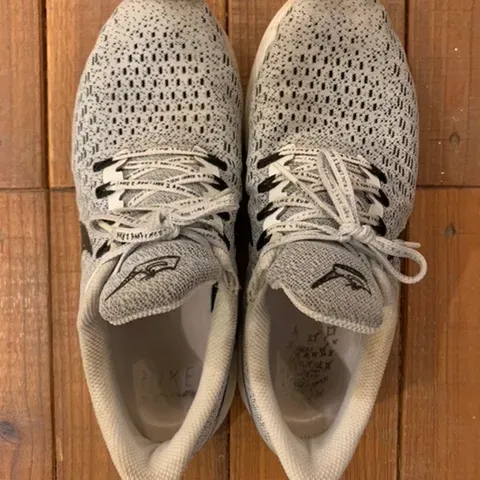 2023-09-10 - 謝謝這雙跑鞋陪我跑了這麼久的時間。👟👟

#感恩日記