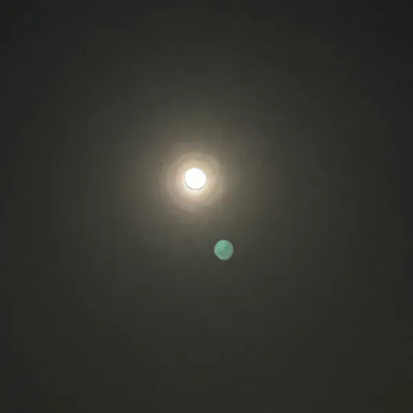 R2019 - 求學時期的她，是我的公車好夥伴

每天都搭第二班車，每天差不多的時間出現在學校對面的早餐店一起買早餐

<