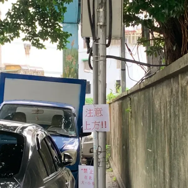 卡繆 - 看上面?👀