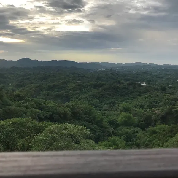 寶 - 去到一個陌生的環境 在自己最不知所措時所抓住的稻草 那顆稻草讓我既快樂又痛苦 但現在所剩的只有痛苦 我現在只想回到過去 讓我選擇待在熟悉的地方 而不是陌生環境
