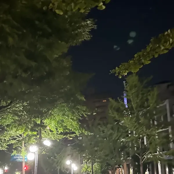 H - 上個冬天 戀上了大我一歲的學姊

那時就是個暗戀懵懂的小笨蛋

我們的聊天紀錄就是一天一兩次 留言式的那種 互相回覆互相分享著這一天又是如何度過

我暈船了 暈的