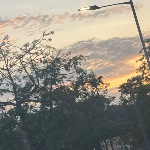 親愛的陌生人 - 好好跟我愛的人說「我愛你」，包括家人朋友戀人。把平常不擅長的愛說出來