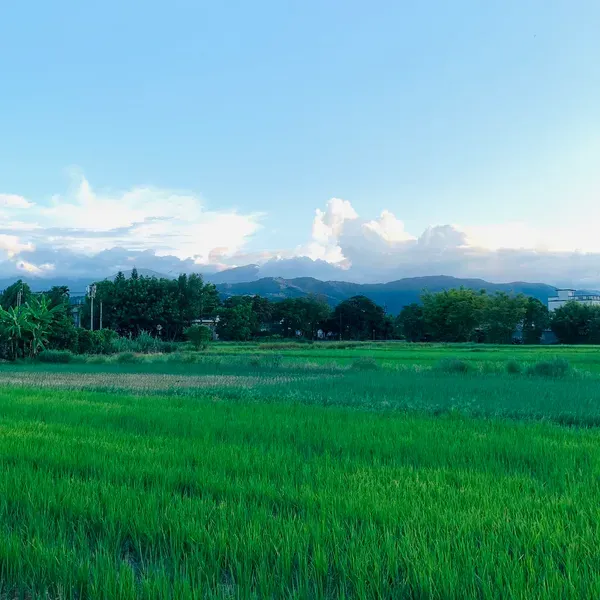 Prayer - 今年我經歷過了四個階段

「失去」

「放下」

「發現」

「迷惘」

不管是內在或是外在的東西都無聲無息的正在消逝

今年能察覺到