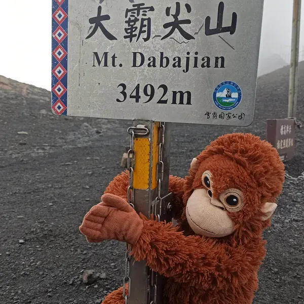 XiangNong - 5月分開、9月醒悟，
等我從麻木中醒來，妳卻已經走遠。

於是，我只能思念，試圖在回憶中尋找妳的影子，
那些美好的瞬間、妳曾說過的話，
依然清晰，一切彷彿就在昨天。<