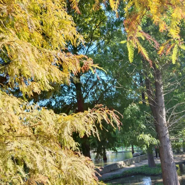 楮浵 - 今生有緣無分,願來生有緣有分
從不輕言愛情,但聊天句句都是愛意