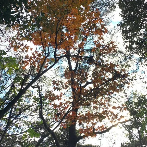 Prayer - 以前小時候常常夢到自己在折一個巨大的白紙，怎麼折都一樣大折不完，折到自己就驚醒了

長大後就沒有再夢到了，是不是我現實中已經在做類似的事情呢？
