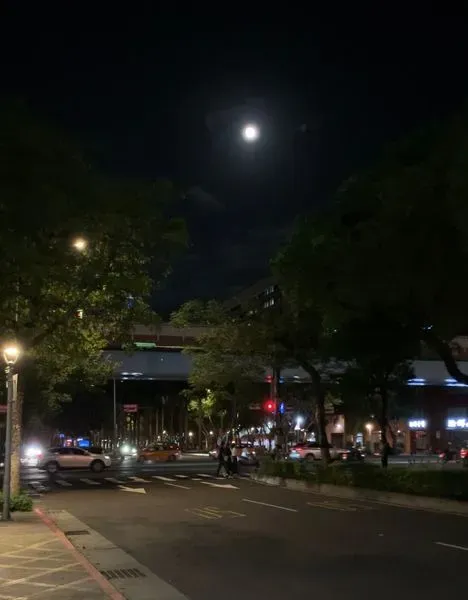 如果，可以向月亮許一個願望，讓你成為任何一樣事物，那會是什麼？