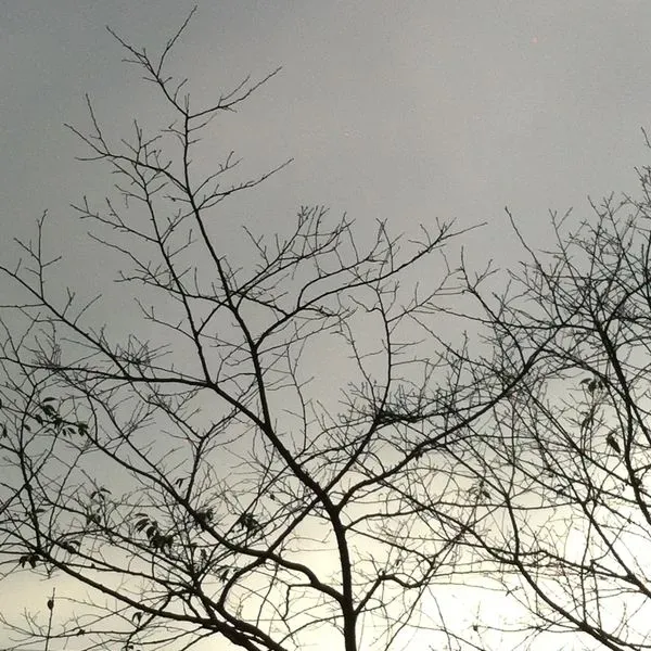 如果明天就是世界末日，你會如何渡過最後一日？