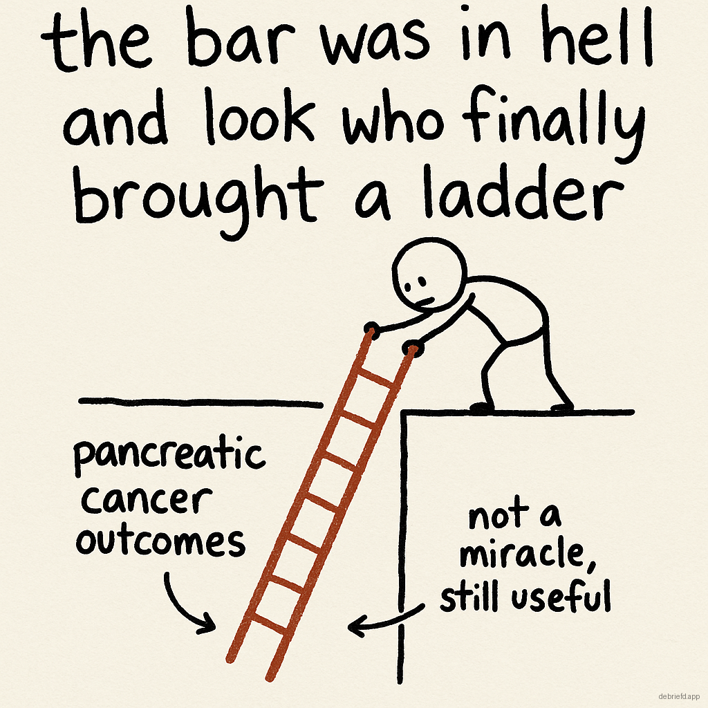 Hand-drawn poster on cream paper with the caption “the bar was in hell and look who finally brought a ladder” above a stick figure lowering a red ladder into a pit labeled pancreatic cancer outcomes.