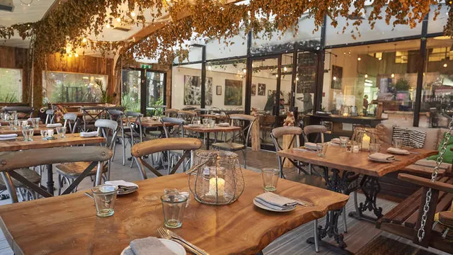 Frog — restaurant végétarien à London