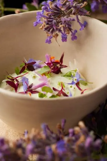 Ma Langue Sourit — restaurant végétarien à Moutfort