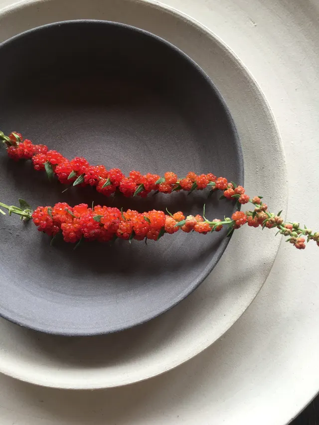 Moment — restaurant végétarien à Rønde