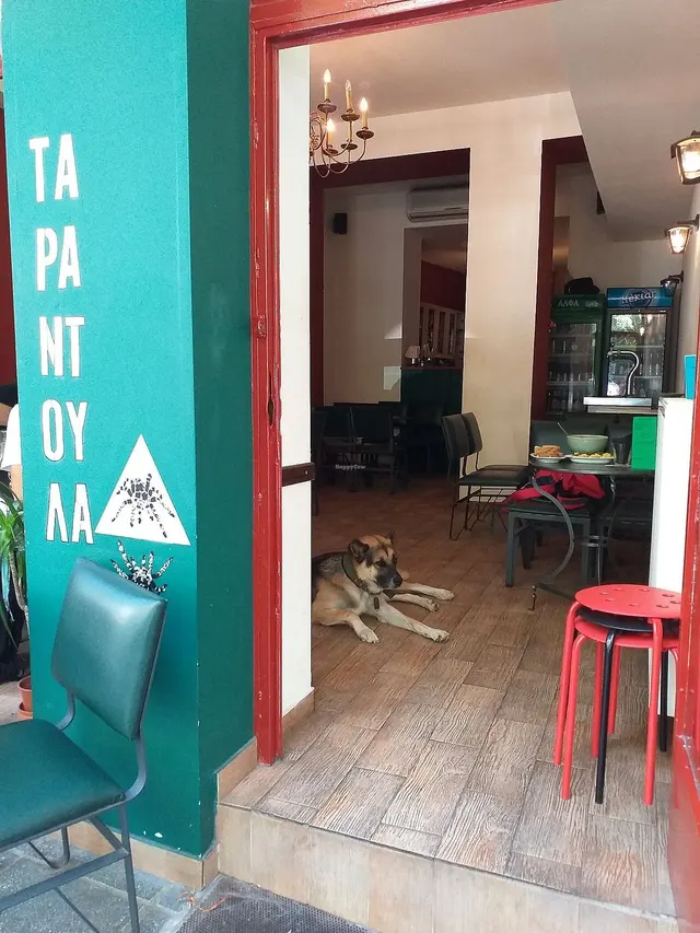 Tarantula — restaurant vegan à Thessaloniki