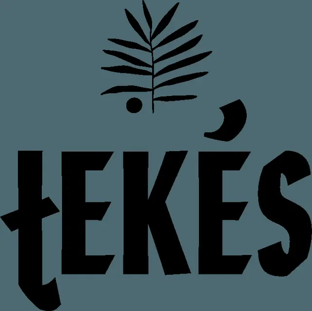 Tekés — restaurant végétarien à Paris