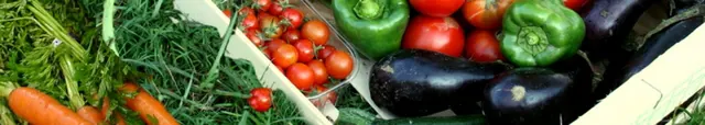 AMAP Belle Vie — amap · point de distribution vegan à Paris