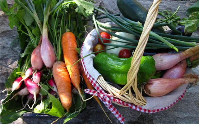 Amap St-Blaise — amap · point de distribution vegan à Paris