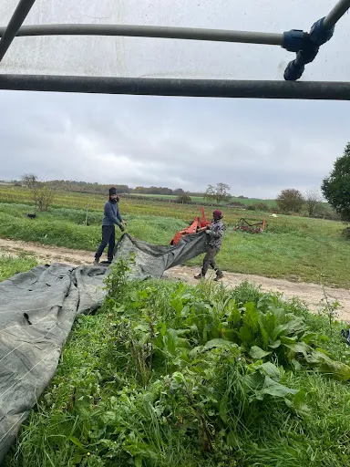 AMAP Nation — Le temps des légumes — amap · point de distribution vegan à Paris