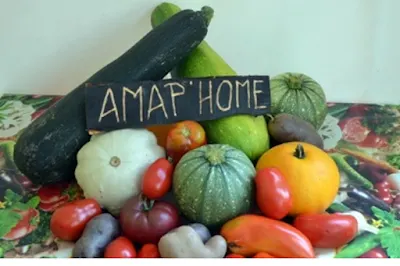 AMAP'HOME — amap · point de distribution (93) vegan à Livry-Gargan