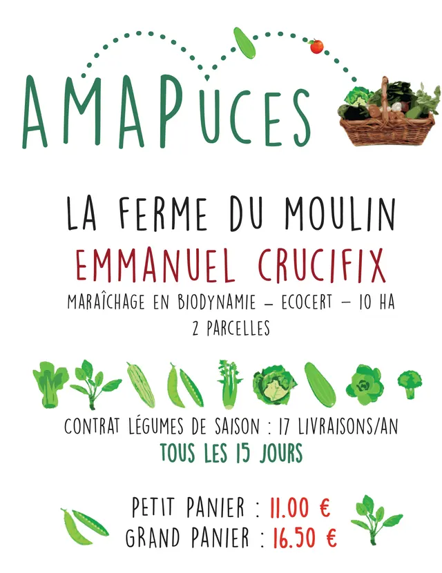 AMAPuces — amap · point de distribution (93) vegan à Saint-Ouen