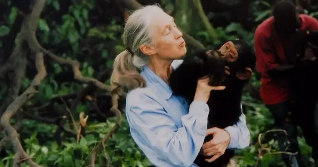 Jane Goodall — personnalité végétarienne à Bournemouth