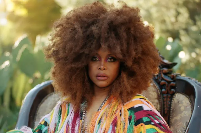 Erykah Badu — personnalité végane
