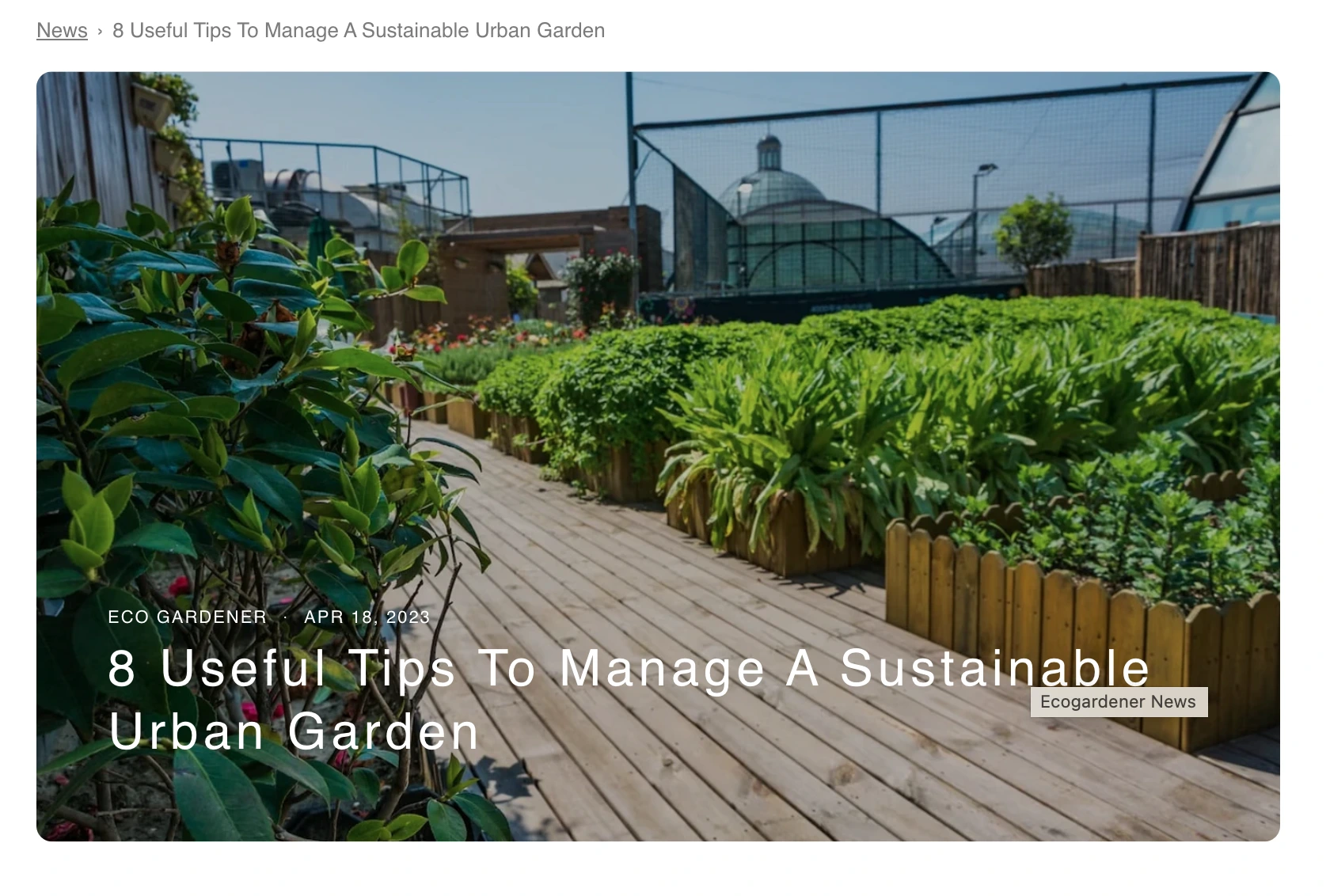 example of how to include keywords in h1 tag