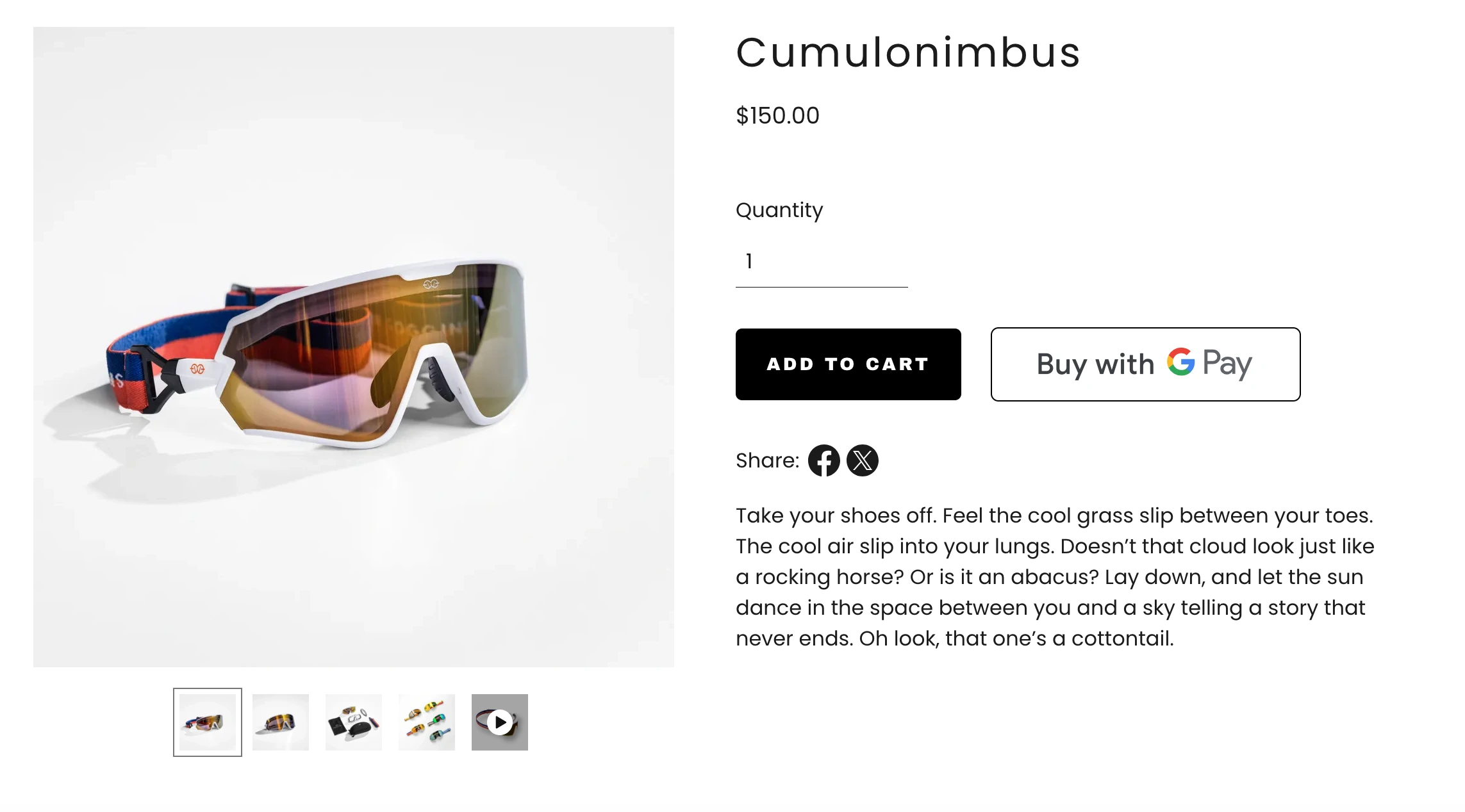 goggins goggles, product description