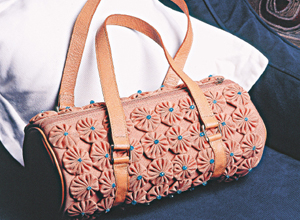 Bolsa bege