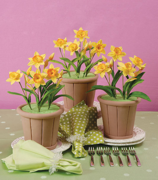 Narcisos de biscuit