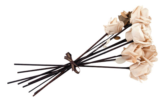 Flores de filtro de café
