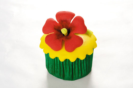 cupcake-havai_exp05_07.01.11.jpg