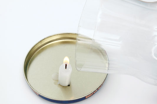 vaso-pet_003_03.12.10.jpg