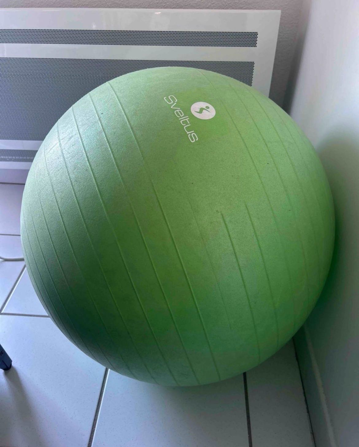 Gymball – bortskänkes nära Göteborg