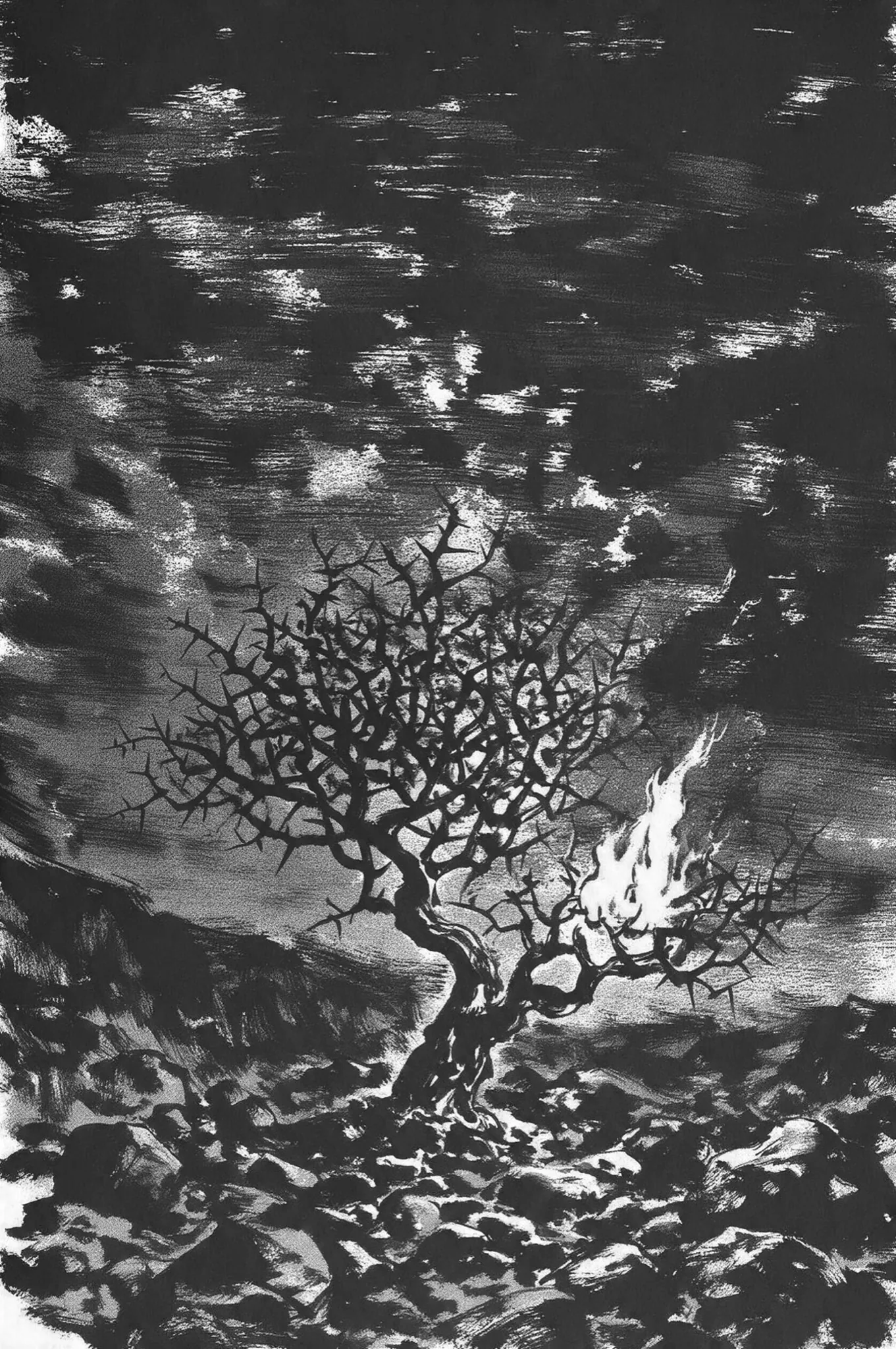 Musa - The Sea · 38