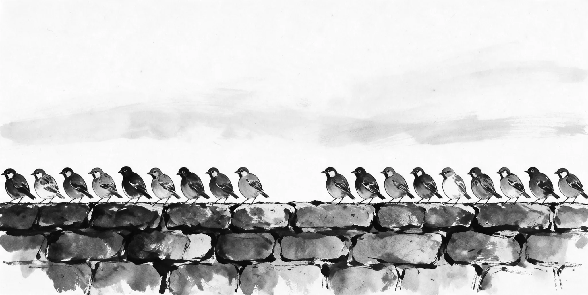 Sulayman - The Kingdom · 11