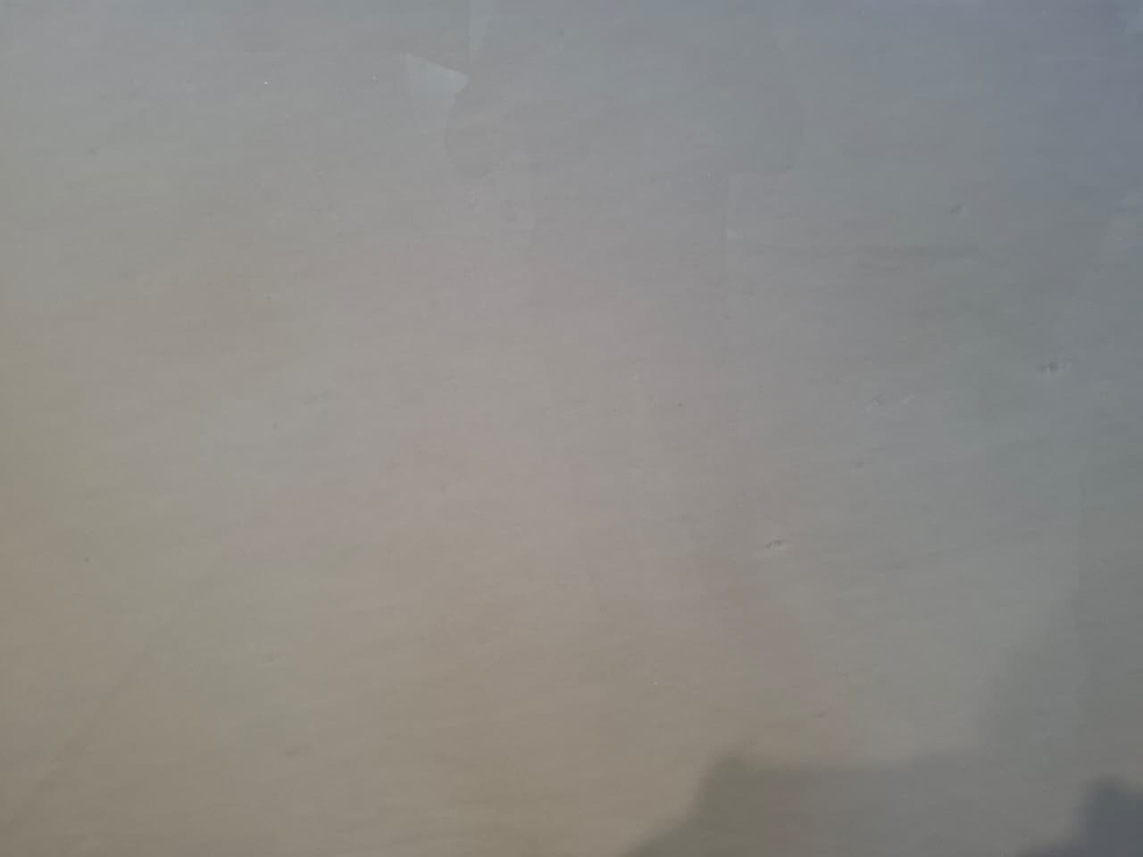 SWISS ICE WHITE