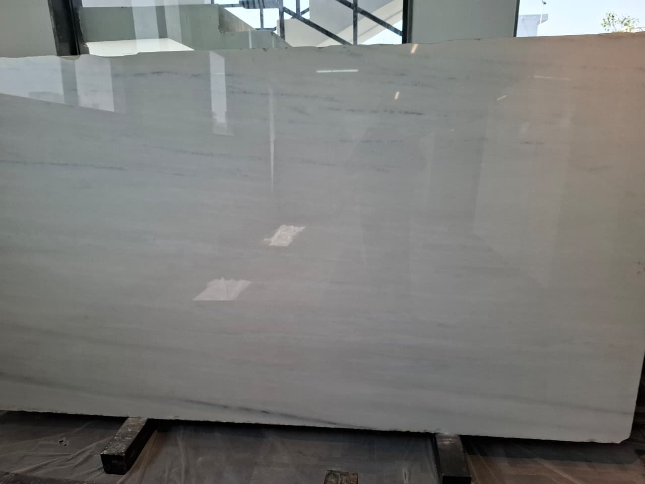 LASSA WHITE